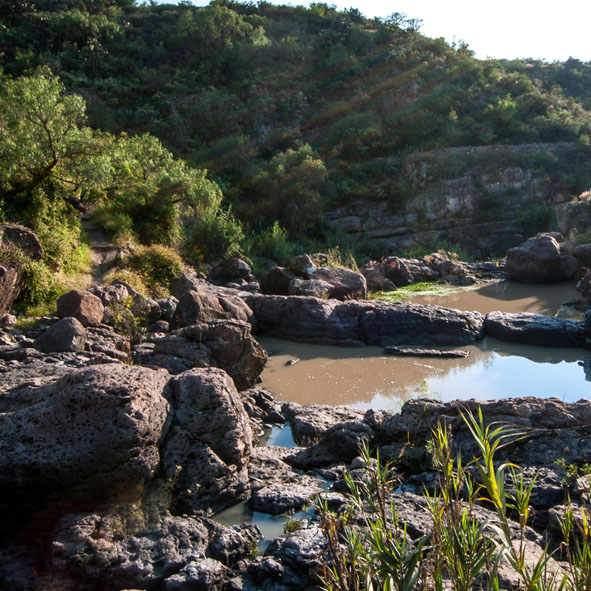 El Charco del Ingenio 